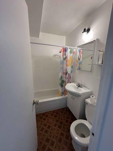 Appartement de 2 chambres à louer à Montreal - Rosemont–La Petite-Patrie — photo 11