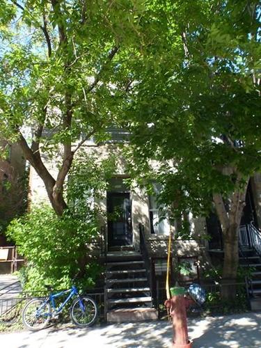 5 bedrooms apartment for rent in Montreal - Le Plateau-Mont-Royal — photo 8