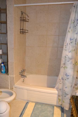 4 bedrooms apartment for rent in Montreal - Le Plateau-Mont-Royal — photo 4