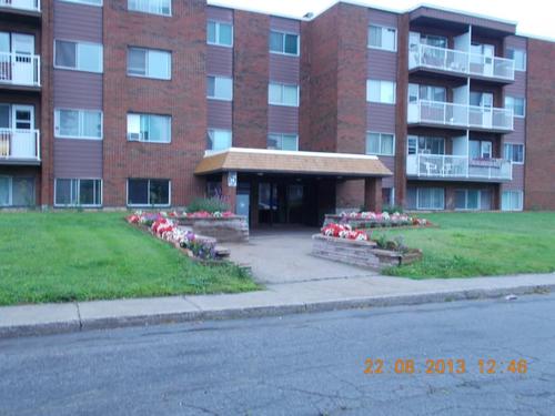 1 bedroom apartment for rent in Gatineau — photo 2