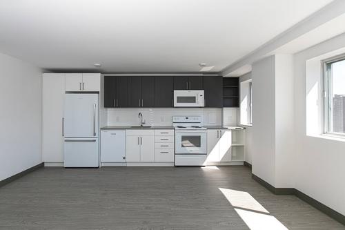 2 bedrooms apartment for rent in Montreal - Le Plateau-Mont-Royal — photo 2