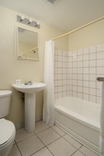 Appartement de 1 chambre à louer à Montreal - Le Plateau-Mont-Royal — photo 3