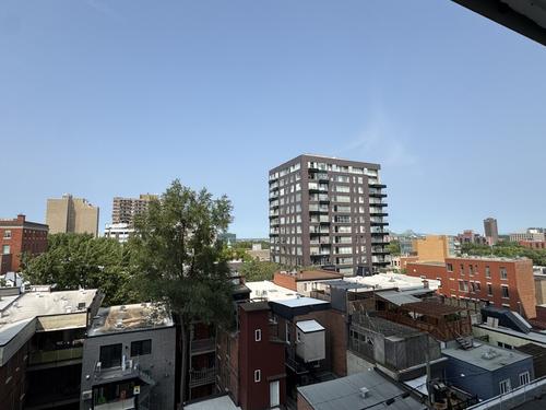 Studio for rent in Montreal - Le Plateau-Mont-Royal — photo 7