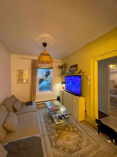 1 bedroom apartment for rent in Montreal - Ville-Marie — photo 7