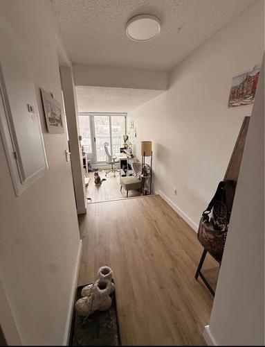 1 bedroom apartment for rent in Montreal - Ville-Marie — photo 3
