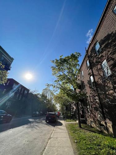 5 bedrooms apartment for rent in Montréal — photo 14