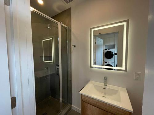 1 bedroom apartment for rent in Montreal - Le Plateau-Mont-Royal — photo 4