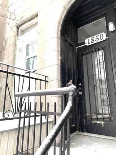 5 bedrooms apartment for rent in Montreal - Le Plateau-Mont-Royal — photo 25