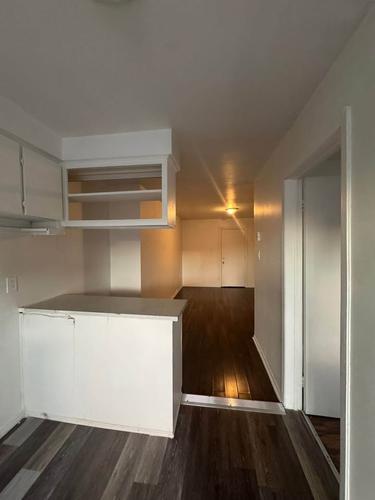 1 bedroom apartment for rent in Montreal - Le Sud-Ouest — photo 3