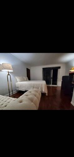 Appartement de 1 chambre à louer à Montreal - Saint-Laurent — photo 3