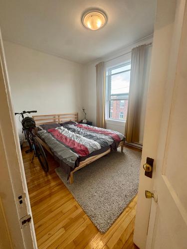 1 bedroom apartment for rent in Montreal - Villeray–Saint-Michel–Parc-Extension — photo 4