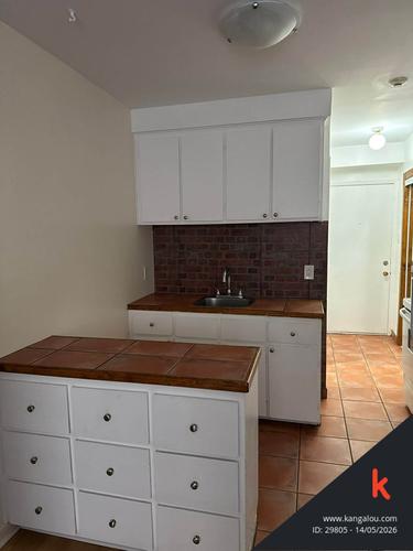 Studio for rent in Montreal - Le Plateau-Mont-Royal — photo 3
