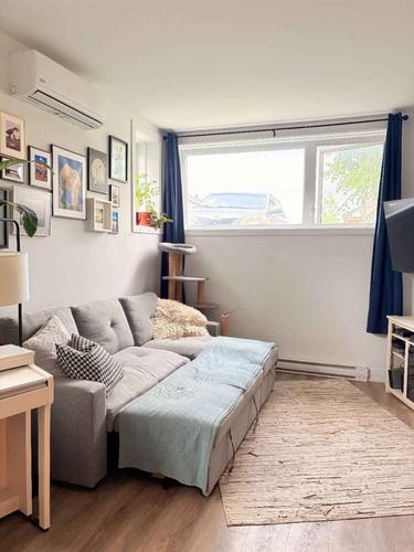 Appartement de 1 chambre à louer à Gatineau — photo 7
