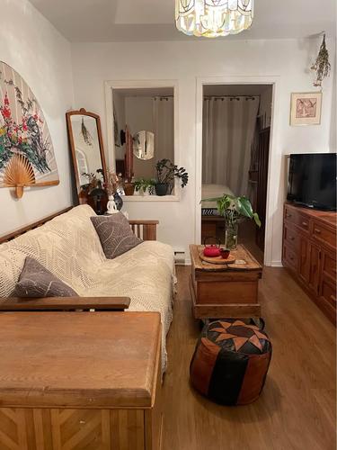 Appartement de 1 chambre à louer à Montreal - Le Plateau-Mont-Royal — photo 11