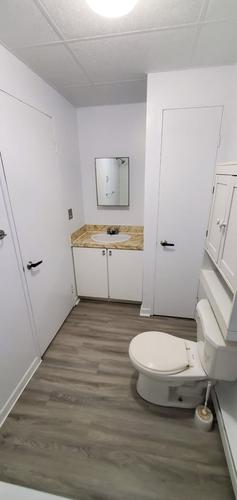 Studio à louer à Lévis — photo 4