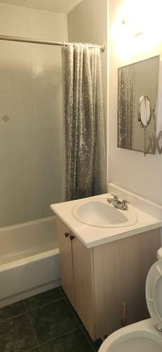 1 bedroom apartment for rent in Montreal - Le Plateau-Mont-Royal — photo 3
