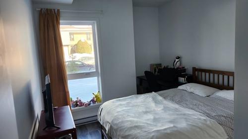 Appartement de 2 chambres à louer à Québec - La Cité-Limoilou — photo 12