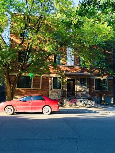 2 bedrooms apartment for rent in Montreal - Le Plateau-Mont-Royal — photo 5