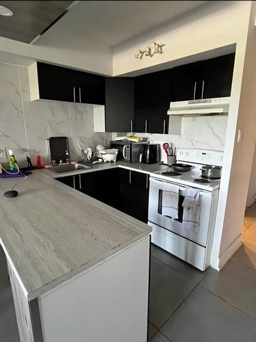 Appartement de 1 chambre à louer à Montreal - Le Plateau-Mont-Royal — photo 2