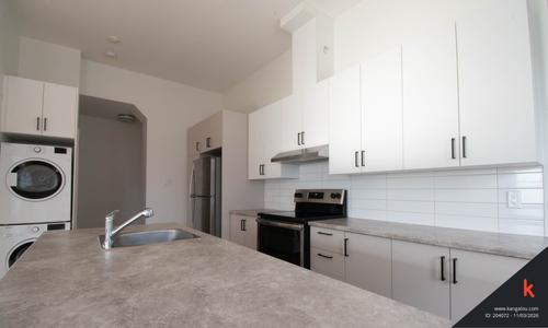 1 bedroom apartment for rent in Montreal - Rosemont–La Petite-Patrie — photo 4