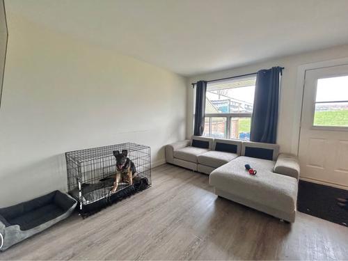 Appartement de 3 chambres à louer à Québec - Charlesbourg — photo 2