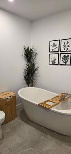 2 bedrooms apartment for rent in Lévis — photo 4
