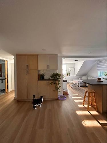 Appartement de 1 chambre à louer à Lévis — photo 6