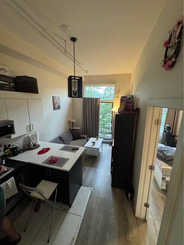 1 bedroom apartment for rent in Montreal - Le Plateau-Mont-Royal — photo 3