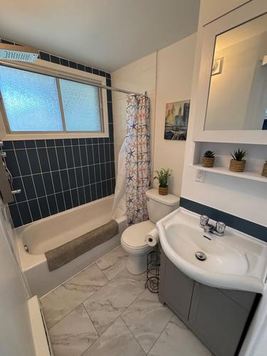 1 bedroom apartment for rent in Montreal - Rosemont–La Petite-Patrie — photo 6