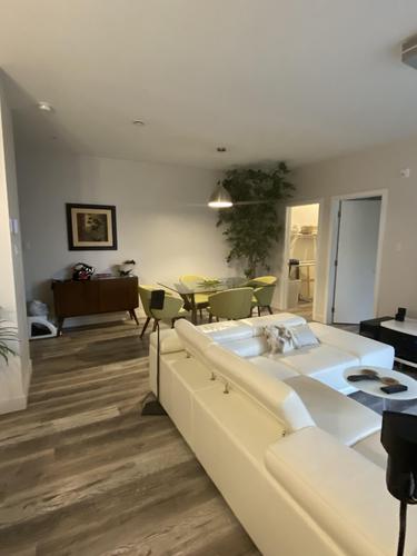 2 bedrooms apartment for rent in Longueuil — photo 4