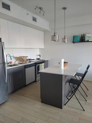 Appartement de 1 chambre à louer à Gatineau — photo 6
