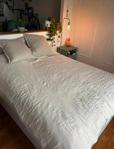 1 bedroom apartment for rent in Montreal - Le Sud-Ouest — photo 10