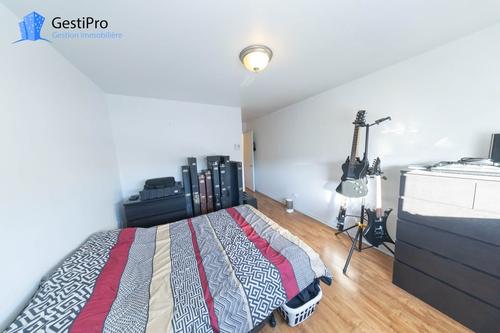 1 bedroom apartment for rent in Lévis — photo 7