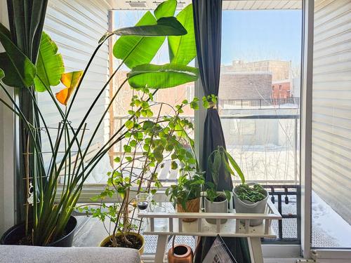 1 bedroom apartment for rent in Montreal - Rosemont–La Petite-Patrie — photo 2