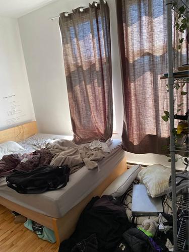 4 bedrooms apartment for rent in Montreal - Le Plateau-Mont-Royal — photo 7