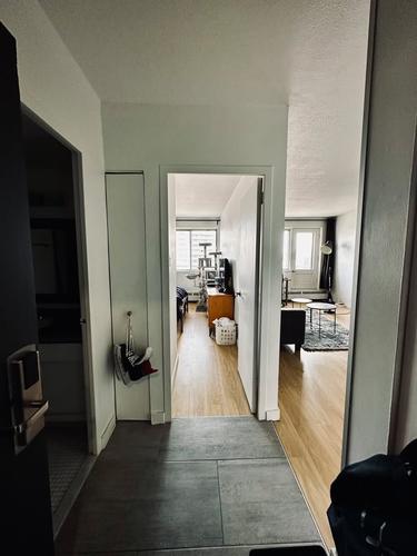 Appartement de 1 chambre à louer à Montreal - Le Plateau-Mont-Royal — photo 15