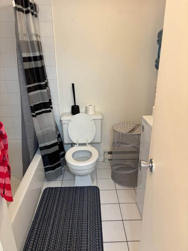 1 bedroom apartment for rent in Montreal - Le Plateau-Mont-Royal — photo 7