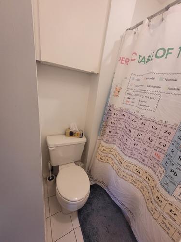 Appartement de 1 chambre à louer à Montreal - Rosemont–La Petite-Patrie — photo 10