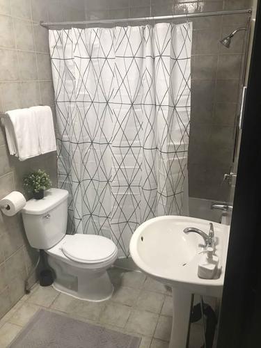 2 bedrooms apartment for rent in Montreal - Le Plateau-Mont-Royal — photo 5