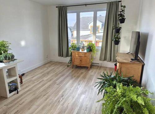 Appartement de 2 chambres à louer à Lévis — photo 4