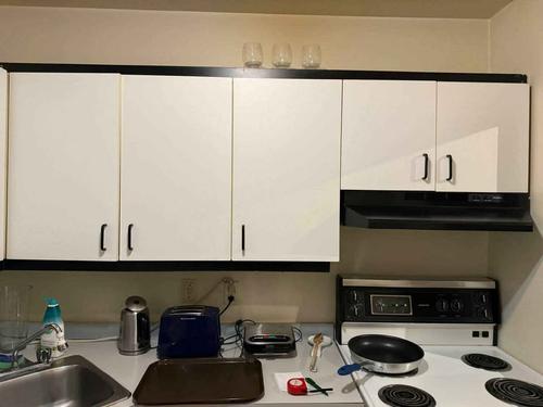 Appartement de 1 chambre à louer à Montreal - Le Plateau-Mont-Royal — photo 11