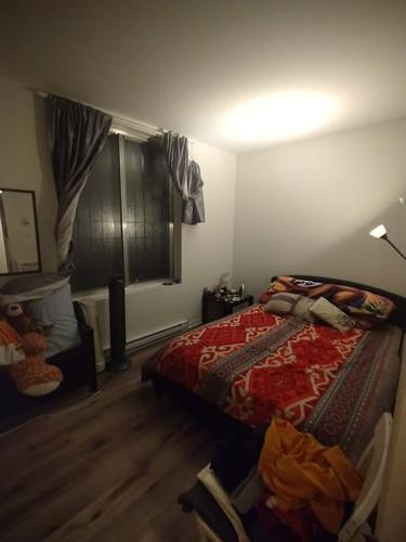 2 bedrooms apartment for rent in Montreal - Le Plateau-Mont-Royal — photo 3