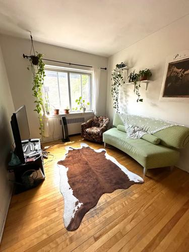 Appartement de 1 chambre à louer à Montreal - Le Plateau-Mont-Royal — photo 5