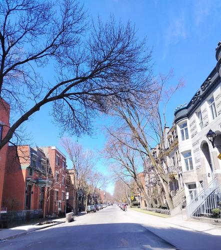Appartement de 2 chambres à louer à Montreal - Le Plateau-Mont-Royal — photo 26