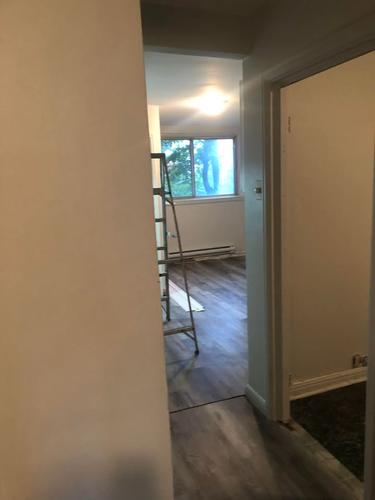 Appartement de 2 chambres à louer à Montreal - Rosemont–La Petite-Patrie — photo 3