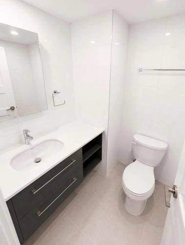 1 bedroom apartment for rent in Montreal - Le Plateau-Mont-Royal — photo 4