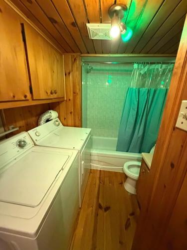 1 bedroom apartment for rent in Montreal - Rosemont–La Petite-Patrie — photo 5