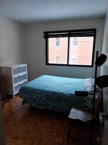 Studio for rent in Montreal - Le Plateau-Mont-Royal — photo 6