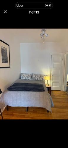 1 bedroom apartment for rent in Montreal - Le Plateau-Mont-Royal — photo 2