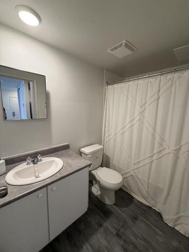 1 bedroom apartment for rent in Gatineau — photo 5